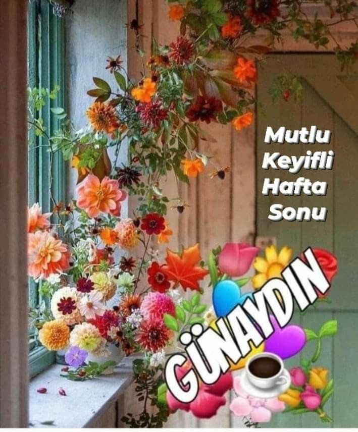 ADNANAVCI1's tweet photo. Gönlünüzce çiçek kokularıyla dolu bir hafta sonu olsun https://t.co/SZB7lnx6sy