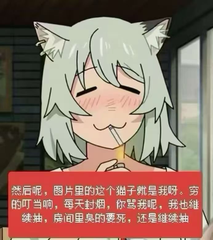 baichacccc's tweet photo. 每天睡醒了就无聊的经营着我的单机人生 https://t.co/ROWOfffgJw