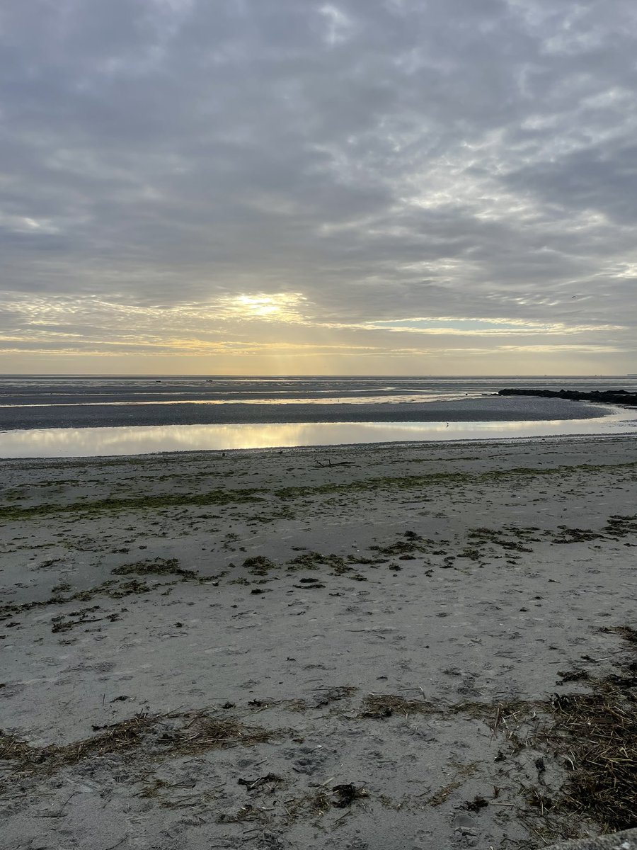 GayeMoore's tweet photo. Early morning walk in Blackrock #round6crew #100daysofwalking #300daysofwalking https://t.co/A3WveL2iwY
