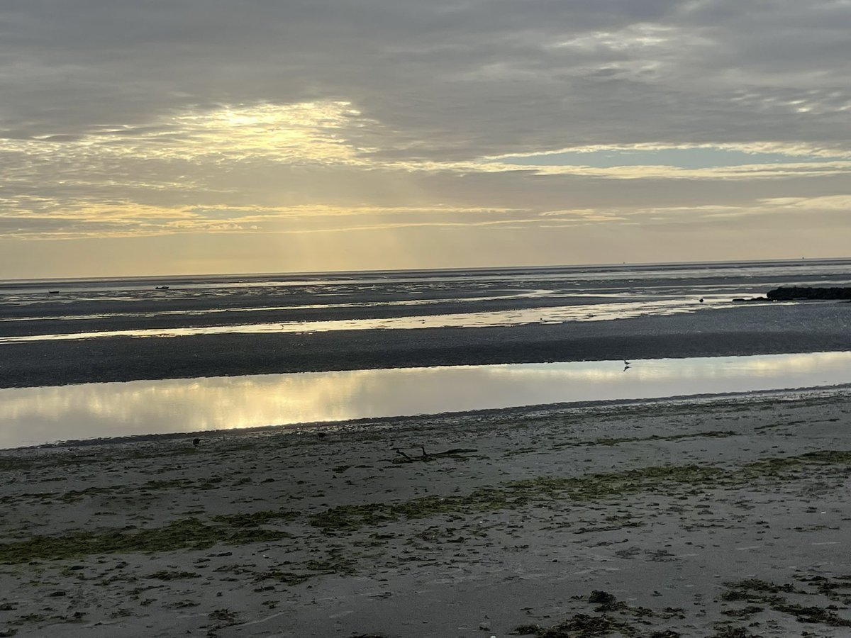 GayeMoore's tweet photo. Early morning walk in Blackrock #round6crew #100daysofwalking #300daysofwalking https://t.co/A3WveL2iwY