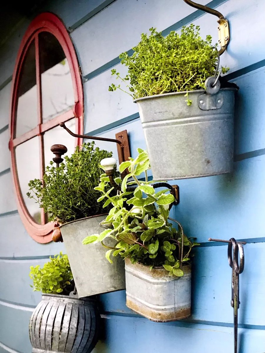KevinStevecf8c's tweet photo. Just upcycled an old mason jar into a gorgeous hanging herb planter—no fancy tools needed!  Perfect for small balcony vibes. Who’s up for trying this DIY， https://t.co/v9Bwxl0utz