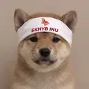ColleneMelin's tweet photo. 都在玩韩国海力士底池的？我们为什么不直接发送SI（SKHYB INU） https://t.co/8DuoeB0fcm