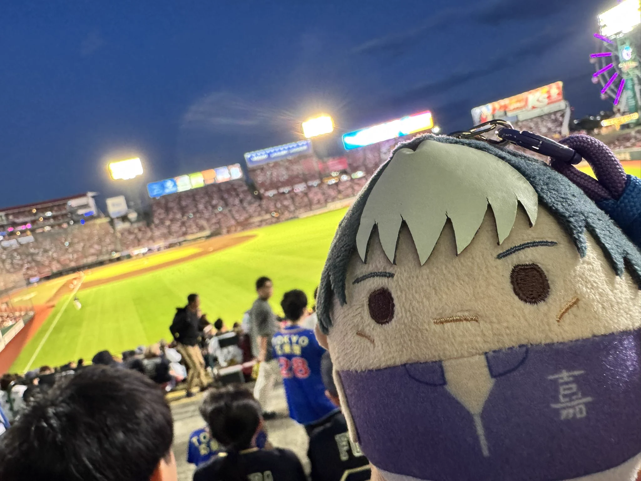 「ぴろちゃんさん」の専用ページ ちゃんさや on X: 