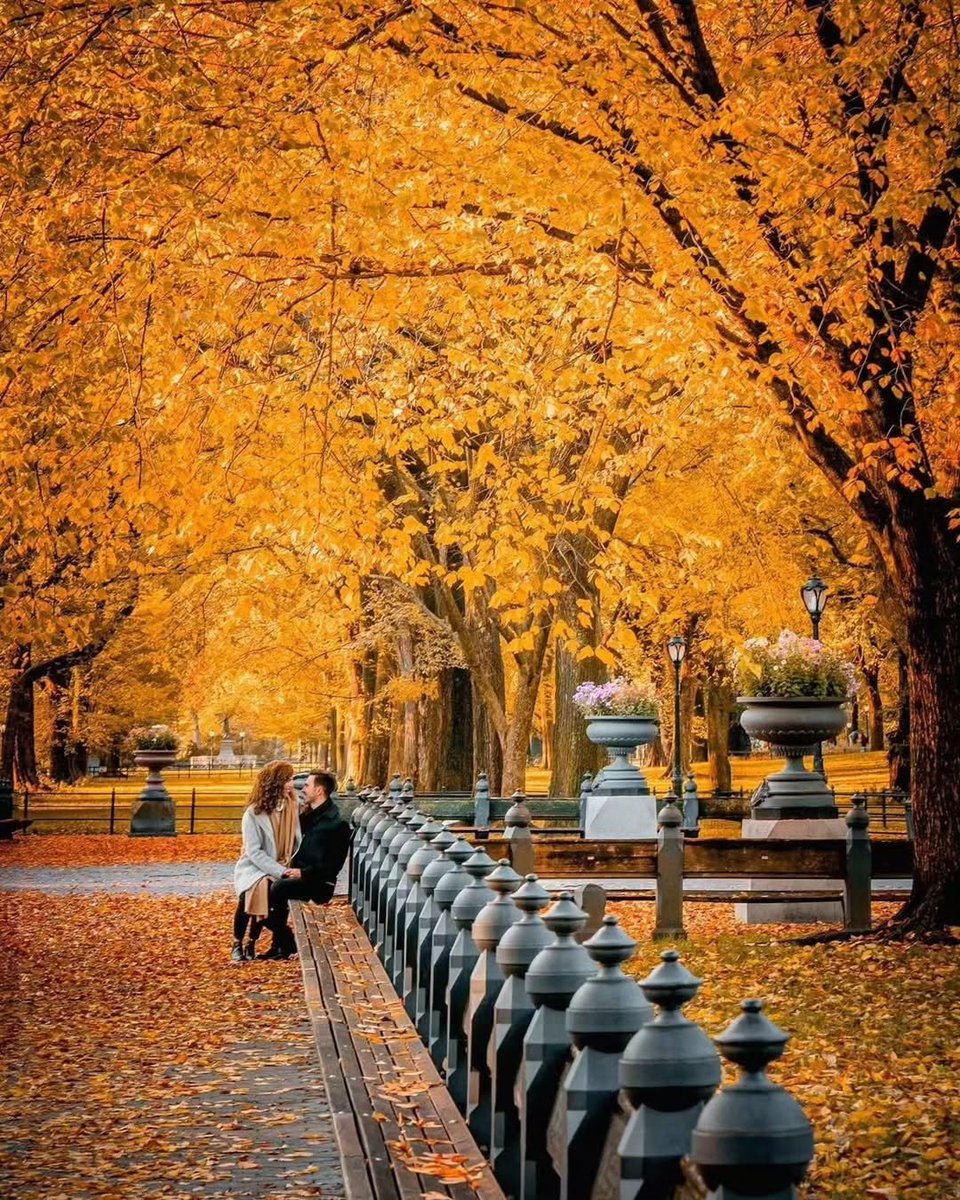naturebeauty760's tweet photo. New York 🇺🇸🍂🍁 https://t.co/27puiVZNpy