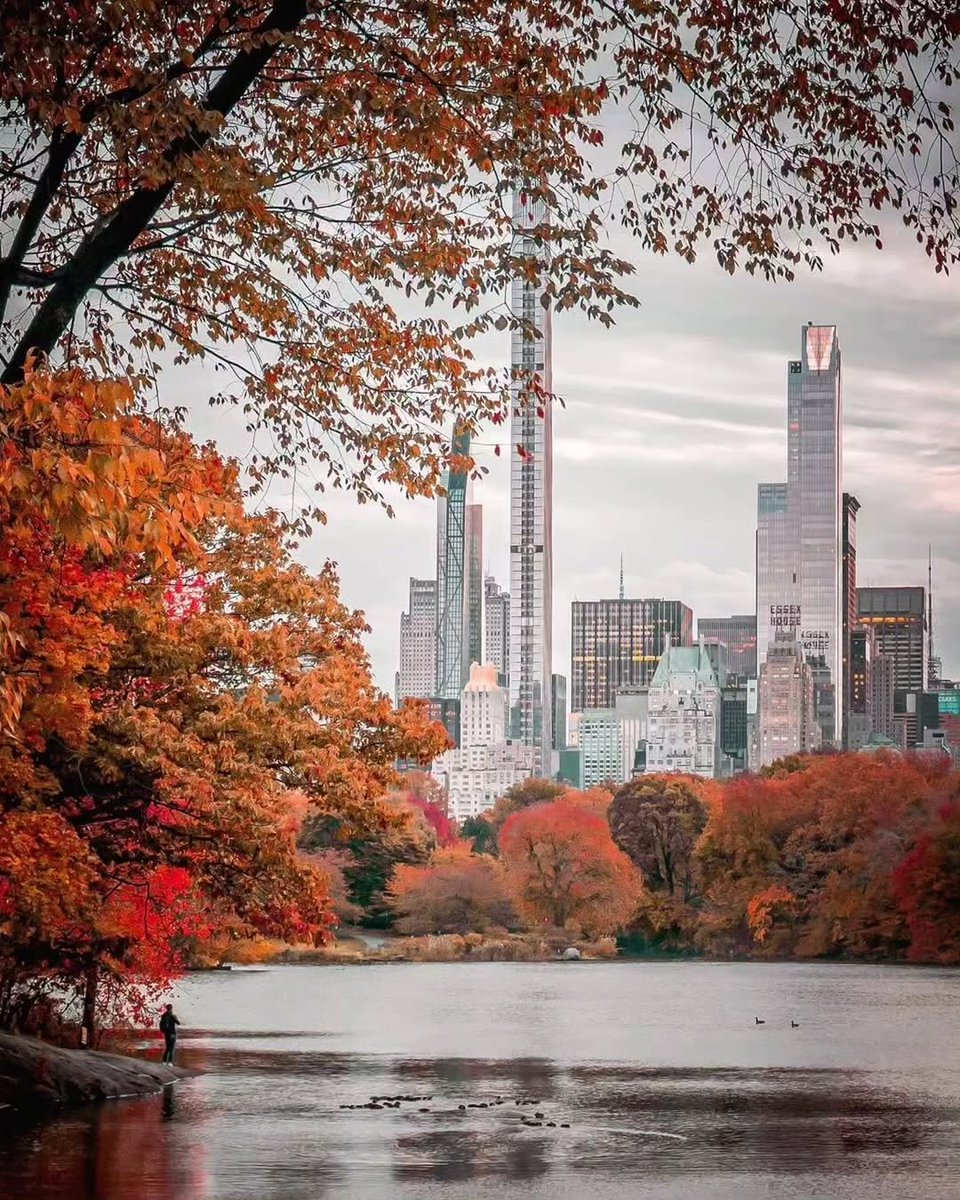naturebeauty760's tweet photo. New York 🇺🇸🍂🍁 https://t.co/27puiVZNpy