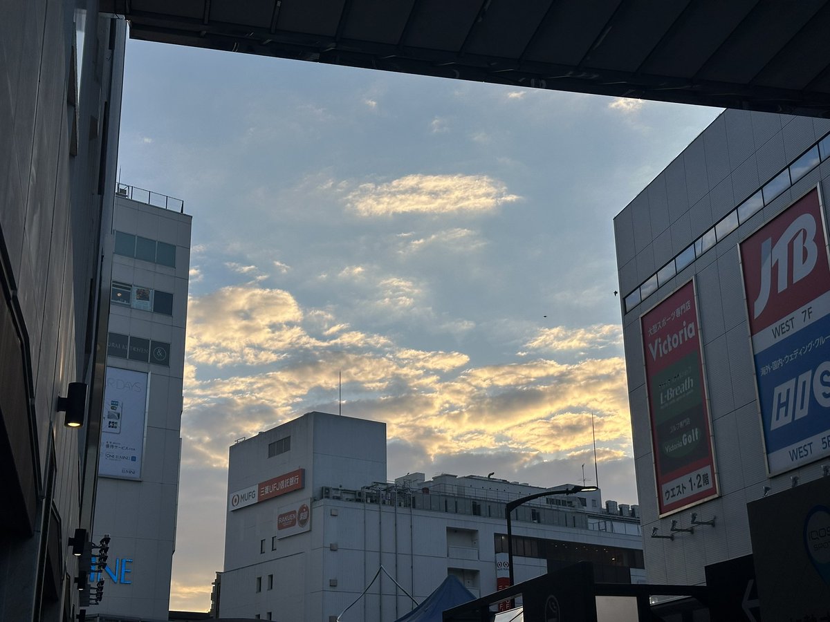 hanayurin's tweet photo. 今週は久々の4連続徹夜。
久々だったけど、３日目には意識の保ち方を思い出し。
とは言え終わったらばたんきゅーでしたw
1カ月ジムにも行けず、ラン記録だけ維持して１０月を迎えました。
久々のランは八王子。
坂しかねー😂と文句たらたらのランでした。
有名なベトナム料理店でフォー！して締め。 https://t.co/muakqIauvB