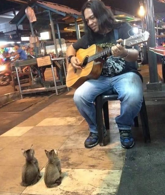 AcervoCharts's tweet photo. Cantor de rua foi ignorado por todos, até que quatro gatinhos apareceram para apoiá-lo. https://t.co/4m6R91FgfE