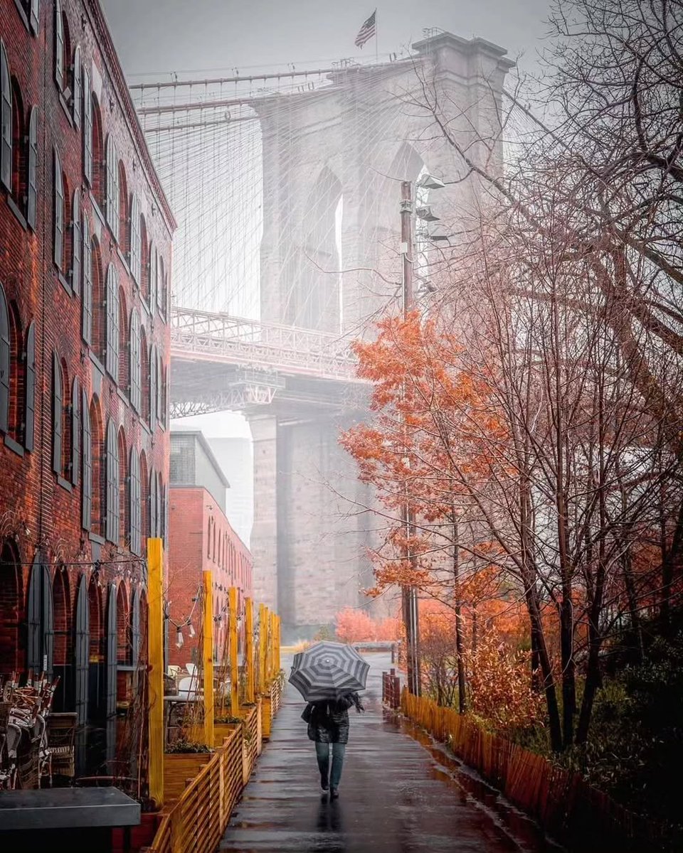 naturebeauty760's tweet photo. New York 🇺🇸🍂🍁 https://t.co/27puiVZNpy