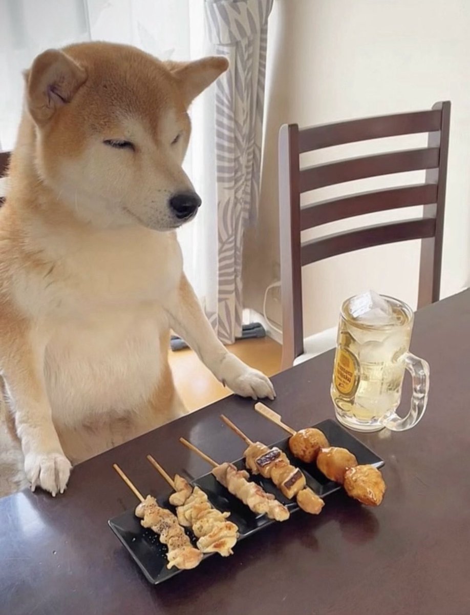 momonosekaiii's tweet photo. しっぽりしずきな犬、何回見ても好きだな https://t.co/ZrqsdHZvky