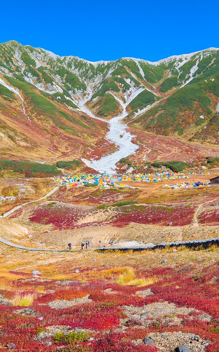 haskap1017's tweet photo. 見頃を迎えた立山室堂平の紅葉が綺麗でした！ https://t.co/reT5aqvAgi