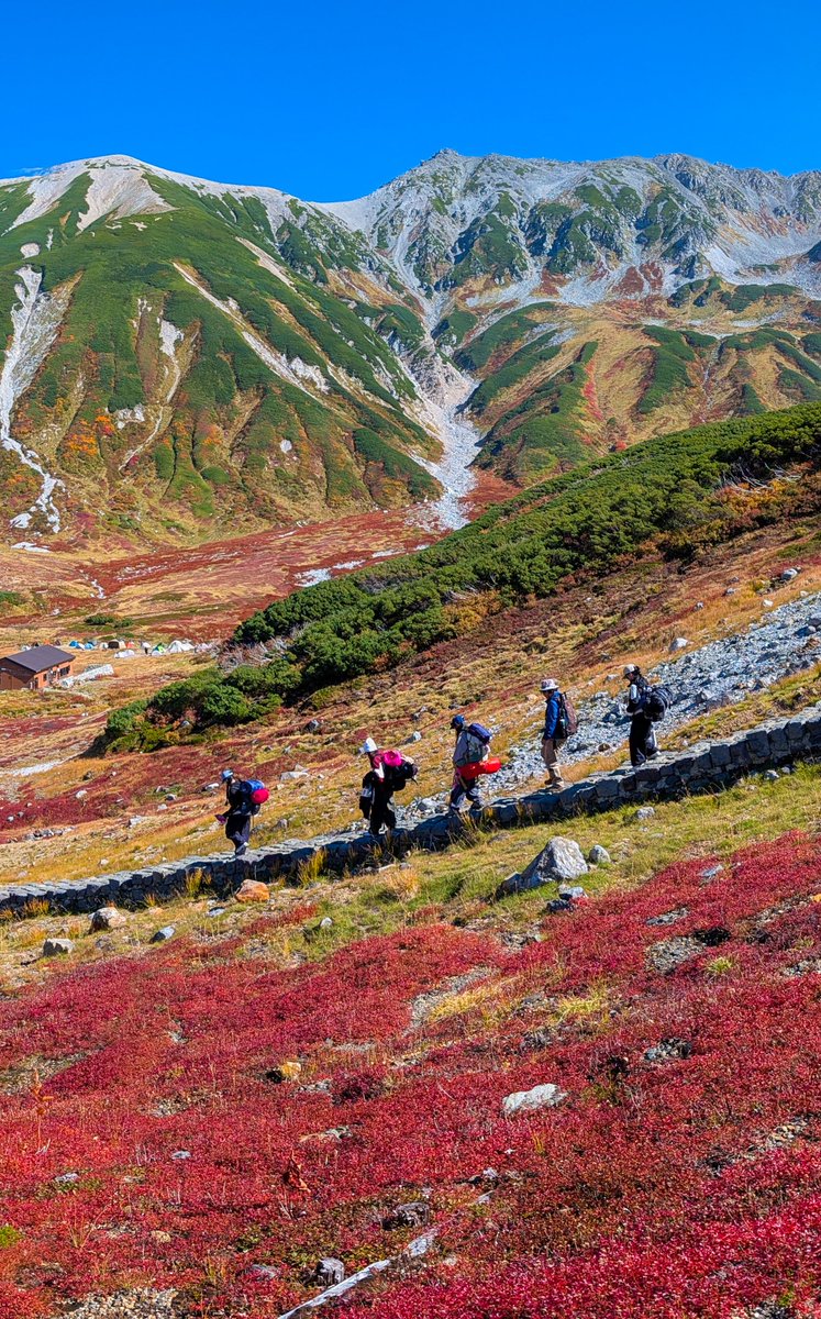haskap1017's tweet photo. 見頃を迎えた立山室堂平の紅葉が綺麗でした！ https://t.co/reT5aqvAgi