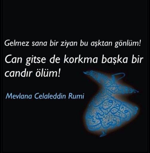 ahmedfyuksel's tweet photo. Can gitse de.. https://t.co/kaqA7fdHnX