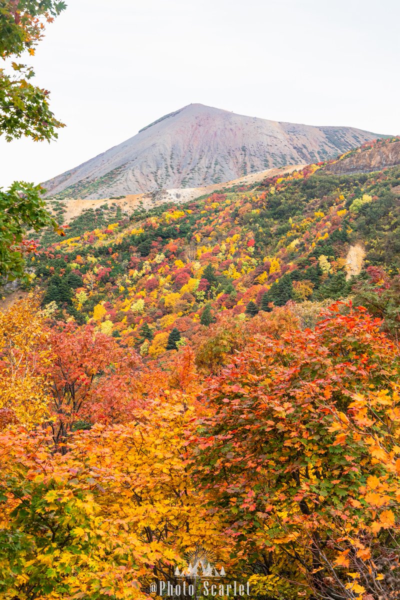 Photo_Scarlet's tweet photo. もう少しで見頃を迎える、福島県『磐梯山』の
秋景色は凄いんです🍁 https://t.co/MOiyD36OwX