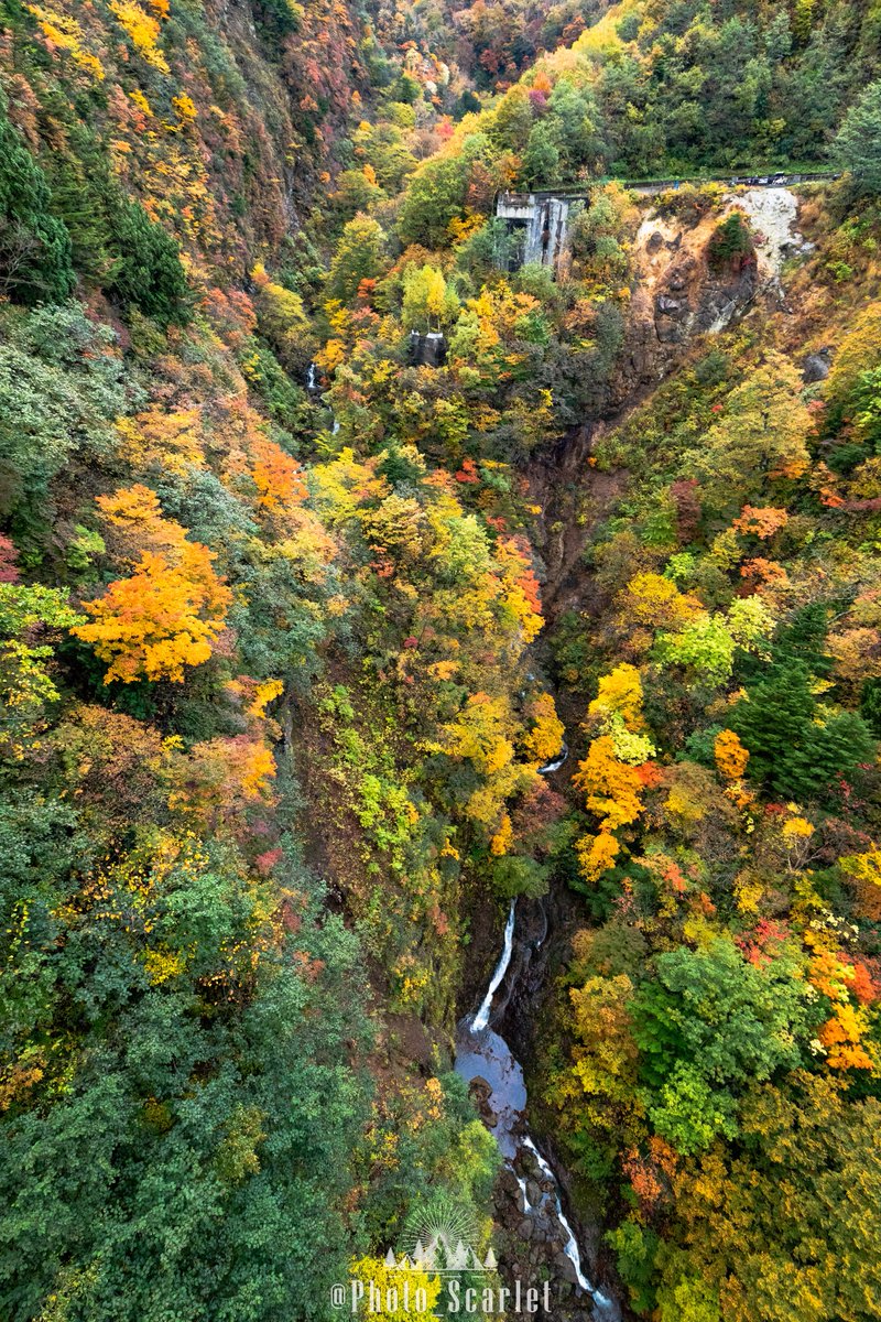 Photo_Scarlet's tweet photo. もう少しで見頃を迎える、福島県『磐梯山』の
秋景色は凄いんです🍁 https://t.co/MOiyD36OwX