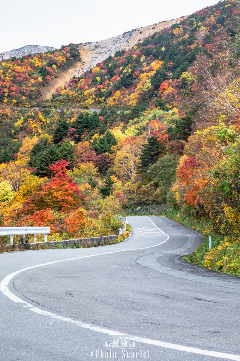 Photo_Scarlet's tweet photo. もう少しで見頃を迎える、福島県『磐梯山』の
秋景色は凄いんです🍁 https://t.co/MOiyD36OwX