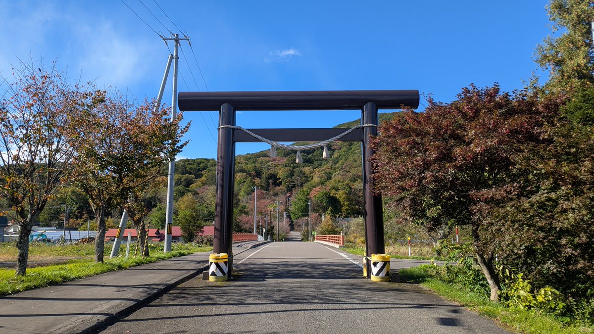 kusakaaoi's tweet photo. 新得神社！
にゃーにゃーすり寄ってくる可愛い猫がいたけど野良猫らしい https://t.co/e7EiZjEiGE