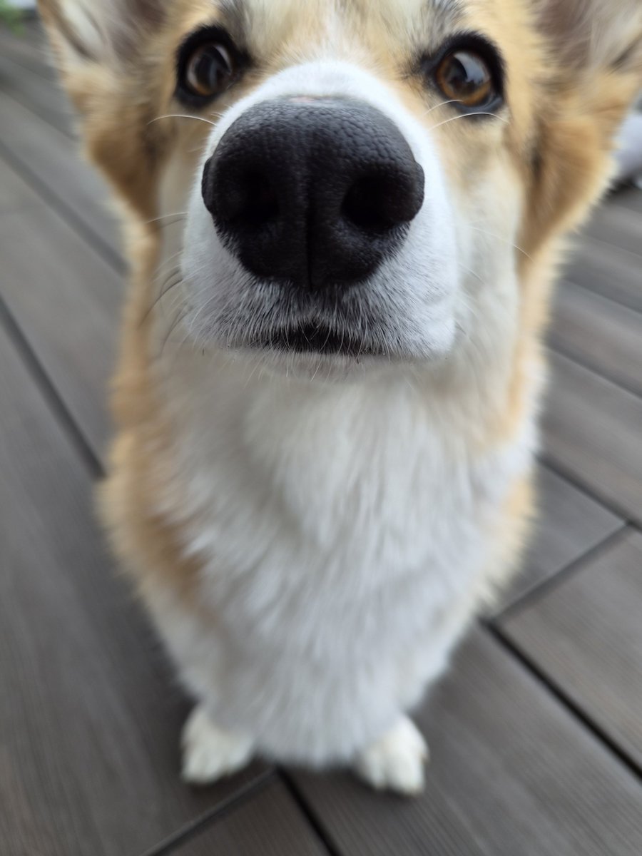 SaltySkunk's tweet photo. Bin da, wer noch? 
https://t.co/JHAsKawP8z https://t.co/l5x5SBV3qO