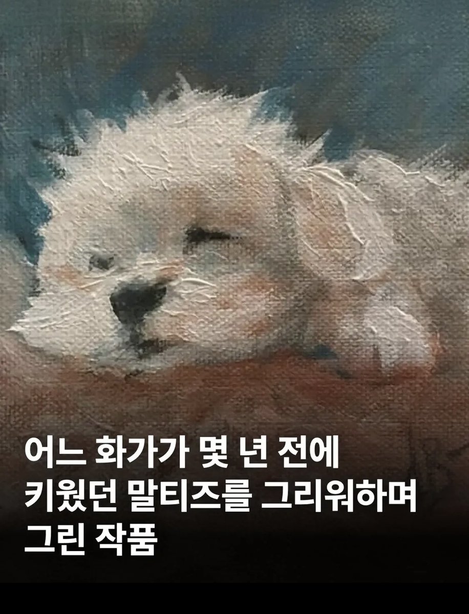 azure247365's tweet photo. 그리워하며 붓으로 쓰다듬은 듯한 말티즈 그림들 https://t.co/1NUwqe2QWB