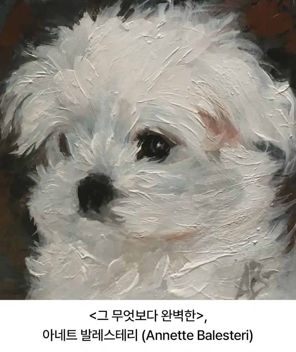 azure247365's tweet photo. 그리워하며 붓으로 쓰다듬은 듯한 말티즈 그림들 https://t.co/1NUwqe2QWB