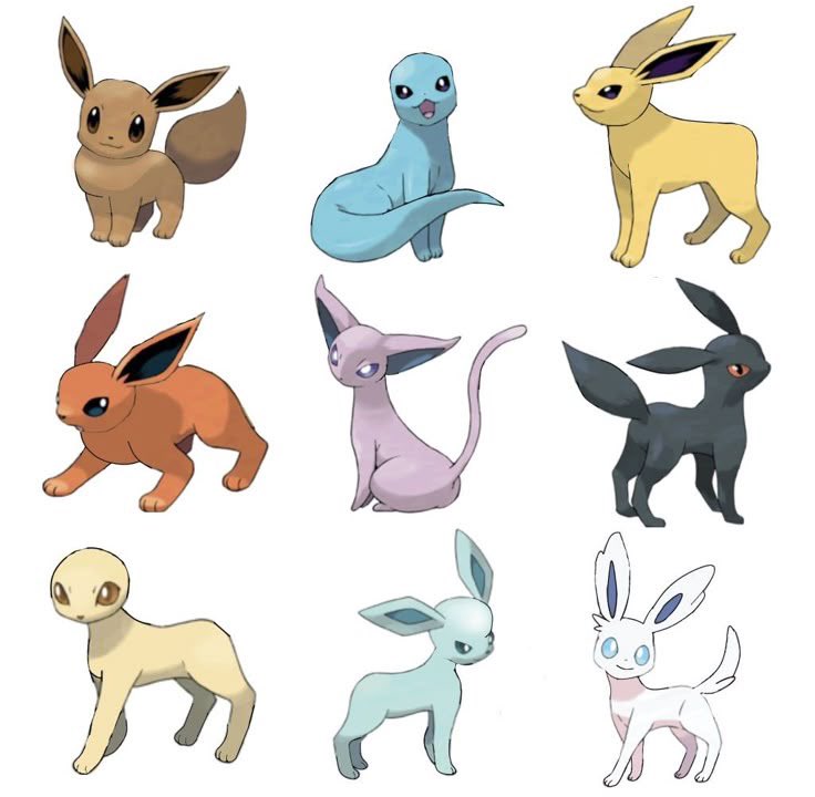 Minox327's tweet photo. Eeevelutions https://t.co/EkluTNID93