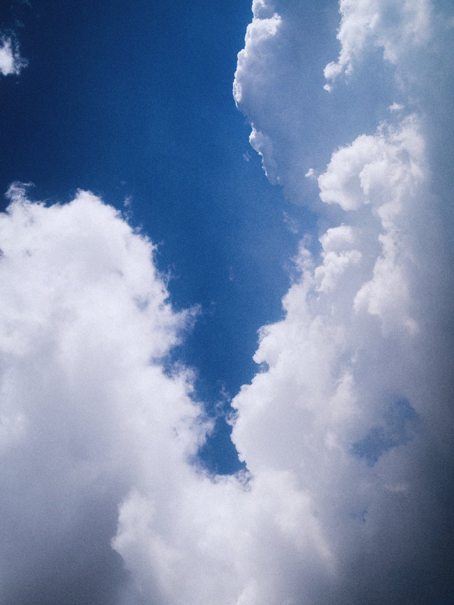 CalicoCat13_13's tweet photo. 🐥 Look at the clouds in front of you. They're pretty
🐰 You're prettier Jimin https://t.co/Q3DnuAizfp