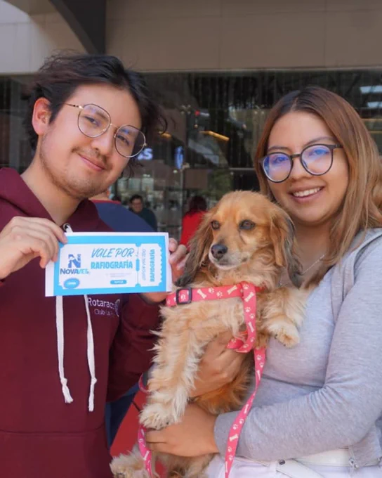 Two people smiling while holding a small dog wearing a pink harness. They are standing outside, possibly in a public area.