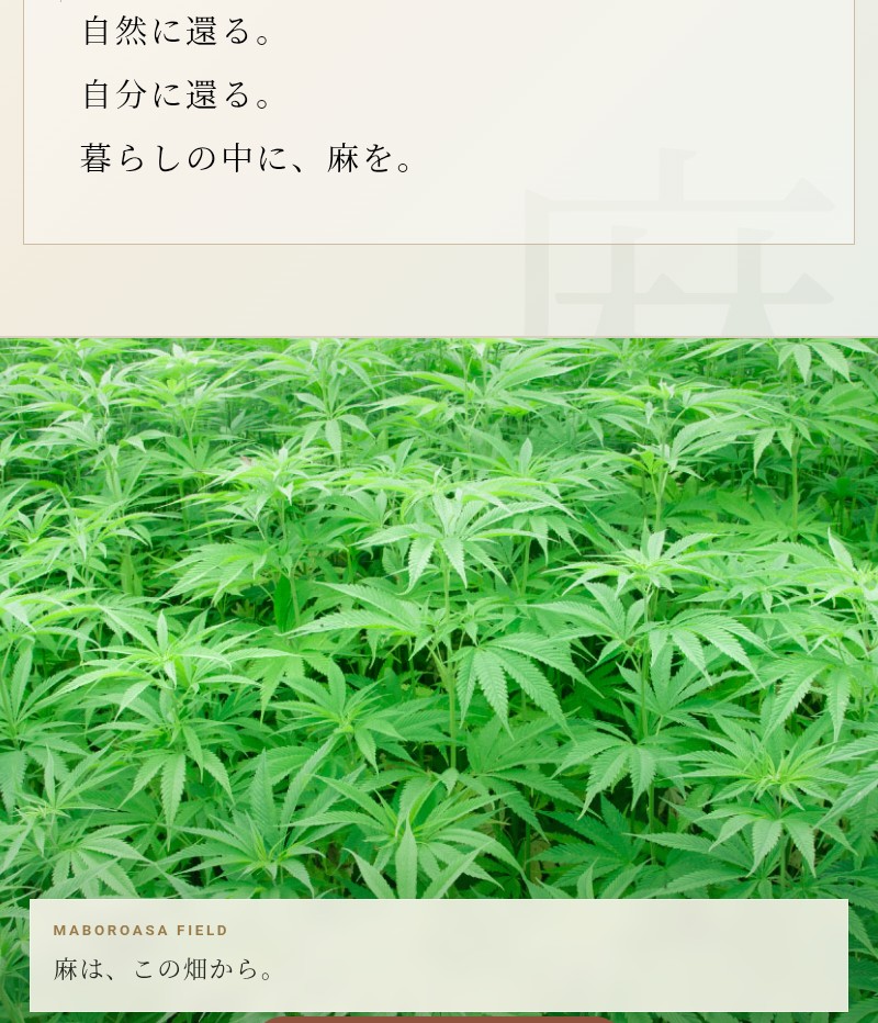 miracle_358's tweet photo. 【青麻でおなじみの『自然回帰』ショップがリニューアル！🆕】

楽天市場で麻商品(青麻スプレーや青麻等)を販売している『自然回帰』の店長さんより、モニターさん募集のお知らせです😄📢📢📢

.

🌿 🌿 🌿 🌿 🌿

このたび、新しく「自然回帰WEB SHOP 本店」を立ち上げることになりました。

正式オープン前に、実際にお客様が使ったときに分かりにくいところがないか、買い物しやすいかなどを確認したくて、モニターになっていただける方を探しています。

.
実際にショップを使っていただいて、

「ここが分かりにくかった」
「ここは使いやすかった」
「こうした方がもっと買いやすい」

など、率直な感想をいただけたら、とても助かります。

正式オープン前なので、皆さんのご意見を参考にしながら、より使いやすいショップに整えていきたいと思っています。

お手数をおかけしますが、皆様のお力を貸していただけたら嬉しいです。
よろしくお願いします！

🌿 🌿 🌿 🌿 🌿

モニターになっても良いよ！って方、興味が湧いた方は、リプ欄のURLから覗いてみてね！😉