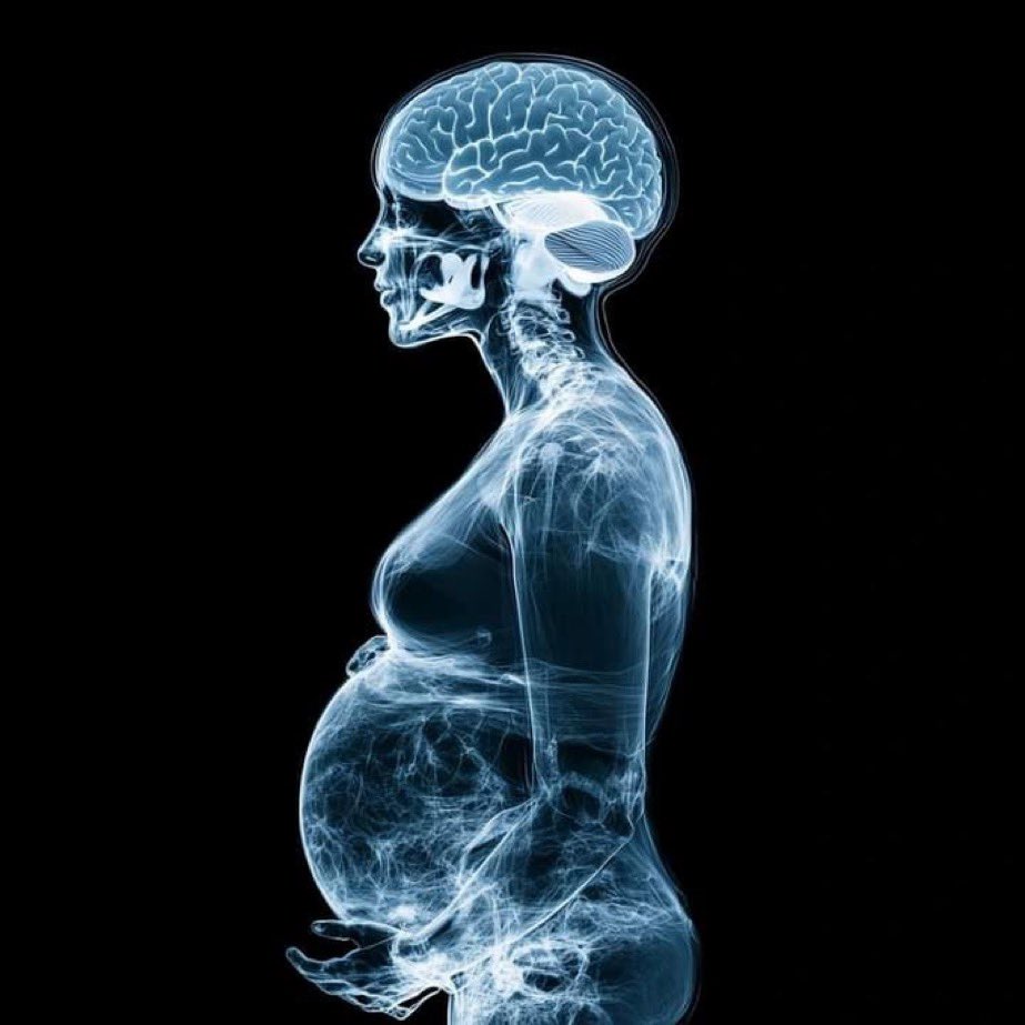 Curiosityproo's tweet photo. 🚨: A second pregnancy transforms the brain, making it sharper and more efficient as it adapts to caring for two children, research finds. https://t.co/vhTAc6ovGx