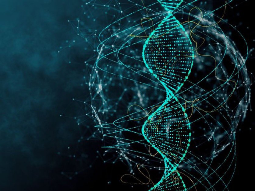 Curiosityproo's tweet photo. 🚨: A groundbreaking DNA study suggests humans nearly went extinct 900,000 years ago. https://t.co/9miXUf2dKE