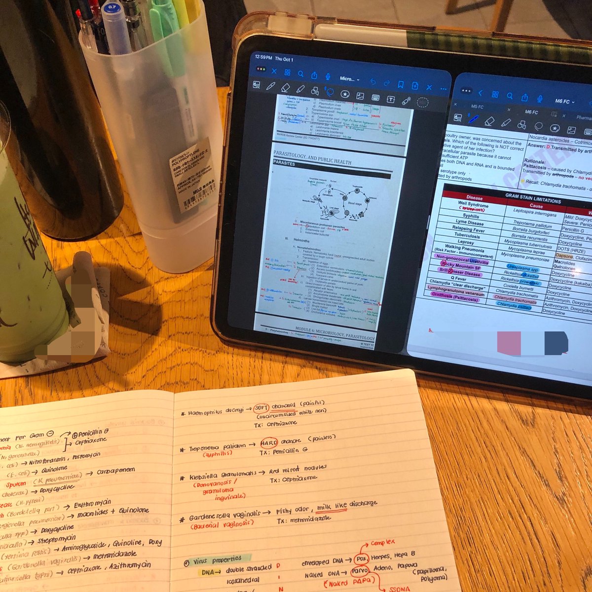 mimsoup's tweet photo. study buddy birthday boy 🤓📚 https://t.co/CwlPz17X82