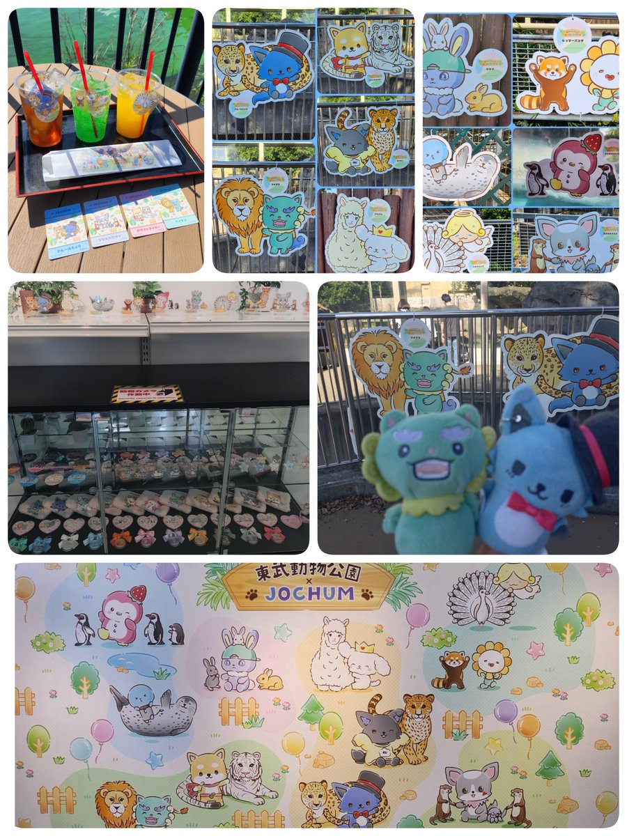 MM08KK31's tweet photo. #JOCHUM とコラボの東武動物公園へ行ってきました！
スタンプラリーしながらコラボフードを食べたりグッズ買ったりパネルの写真を撮ったり📸
もちろん動物たちもたくさん会えたよ🐘🦁🐯🐒🐆🐧…
今日はお天気も良くて充実した一日でした〜😊

 #ジェオチャム東武動物公園 https://t.co/gvs77jc6iY