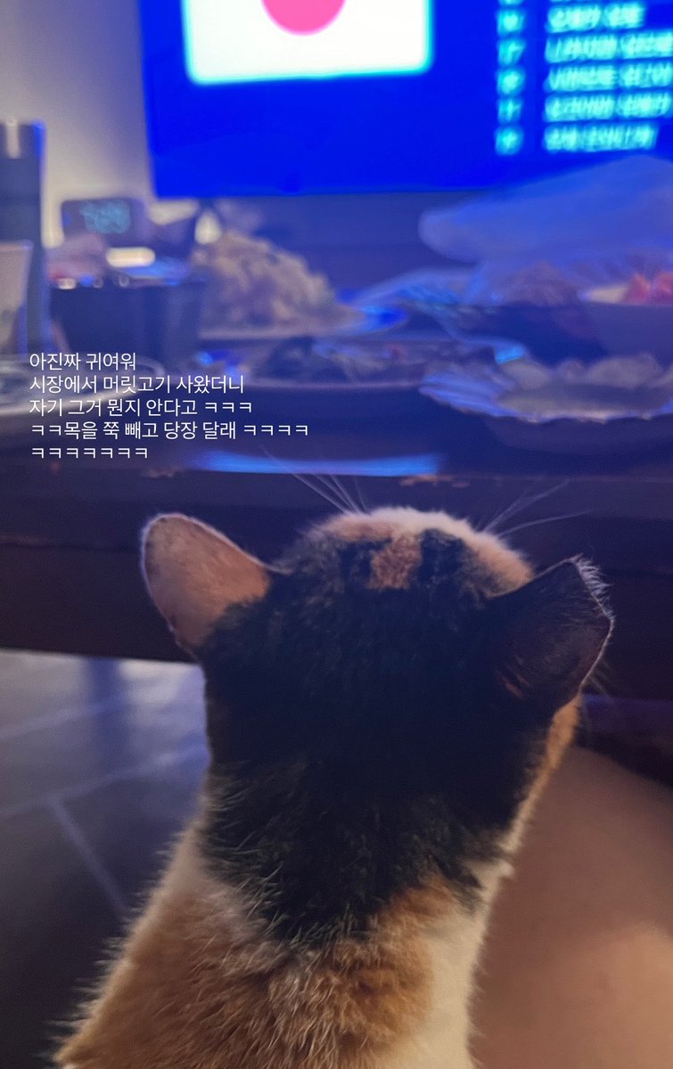krrrhooky's tweet photo. 줌줌 https://t.co/lBfm2NaSma