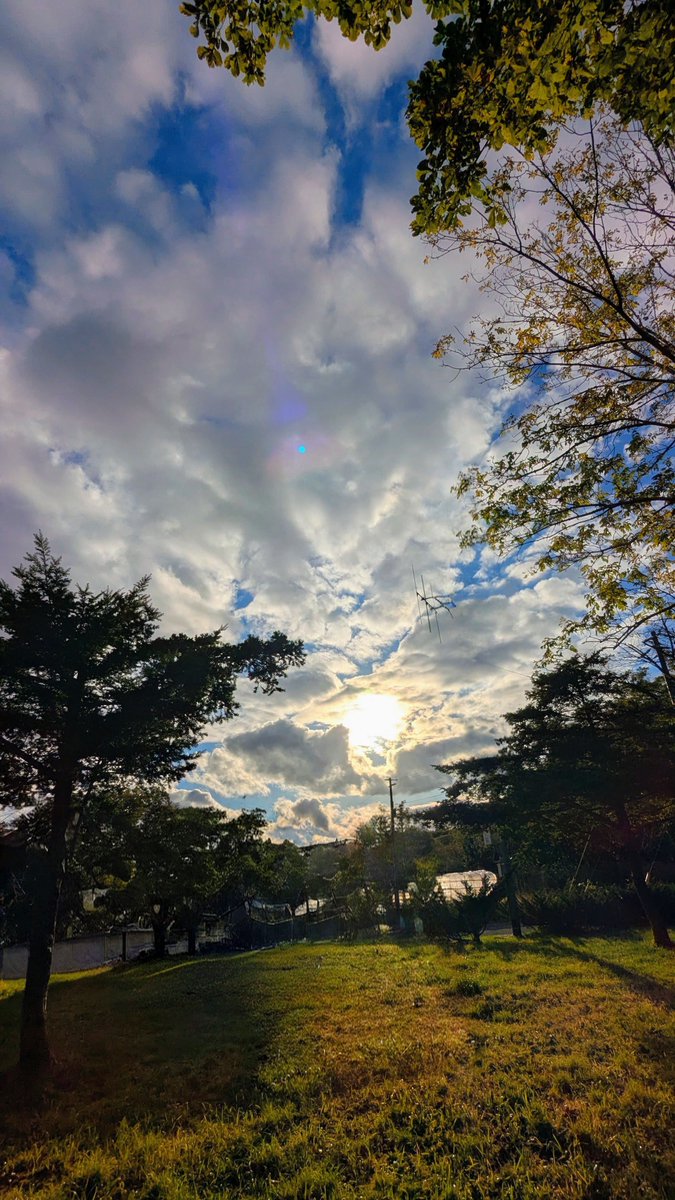 snoopyko1234's tweet photo. 北海道はでっかいど〜🍀

白老散歩👣

いた〜〜〜🦌🦌🦌🦌

２0頭はいたかな😱💦
みんな林の中に逃げたわ〰️💧 https://t.co/i9VtxwumMy