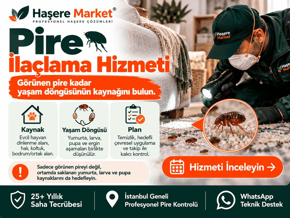 haseremarket's tweet photo. 🐾 EVDE PİRE BİTMİYOR MU?

Sıçrayan pireleri öldürmek kolay; asıl mesele döngünün nerede sürdüğünü bulmak.

🔎 “Pire neden tekrar çıkıyor?”
🐾 “Kedi/köpek varsa ne yapmalıyım?”
🛋️ “Halı, koltuk ve yatak çevresinde neden çoğalıyor?”
🏢 “Bodrumdan veya ortak alandan yeniden geliyor olabilir mi?”

Pire mücadelesinde yalnız ergin böcek değil;
✅ yumurta
✅ larva
✅ pupa
✅ çevresel kaynak
✅ yeniden taşıma ihtimali birlikte değerlendirilir.

⚠️ İlk rahatlama, sorunun tamamen bittiği anlamına gelmeyebilir. Hayvan üzerindeki kontrol veteriner ürünleriyle; ev ve çevre uygulaması ise uygun biyosidal yöntemlerle ayrı yürütülmelidir.

📍 İstanbul Geneli Profesyonel Pire İlaçlama
🛡️ 25+ yıllık saha tecrübesi

👉 Hizmeti inceleyin:
https://t.co/Gu2EqwA7G2

#Pire #Pireİlaçlama #HaşereMarket

Google'da Haşere Market
https://t.co/BZSQrhYxvc