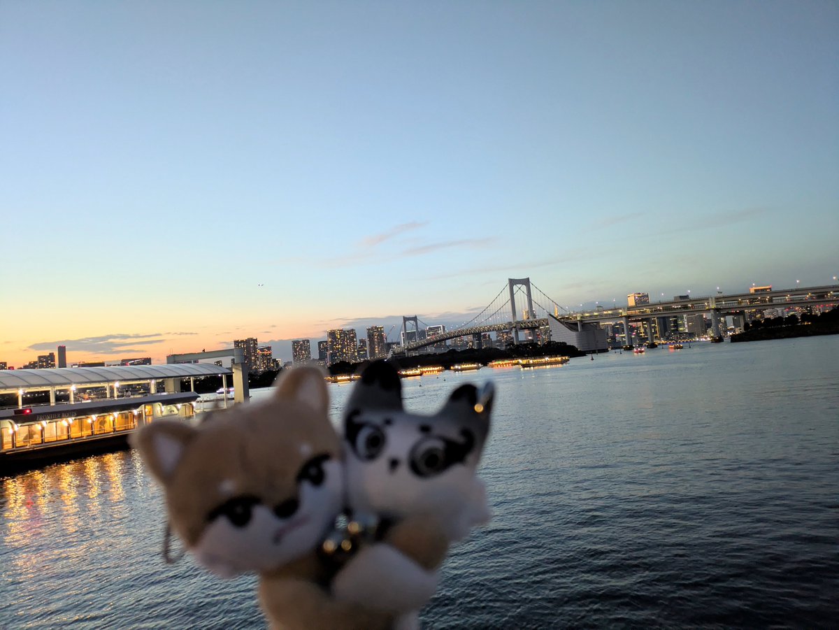 daisukiSOGEON's tweet photo. お台場の夕暮れは
何度見ても本当に美しい✨️
建くんのお気に入りの場所
とてと癒されます🍀
NEXZ散歩しに来ないかなぁ#  #NEXZ #NEX2Y https://t.co/MpmCI3EtR3