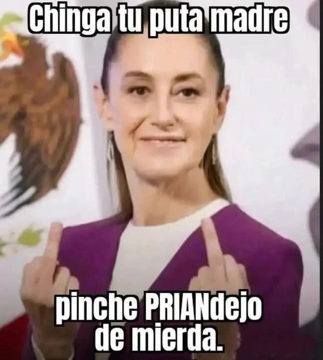 CroxViolante's tweet photo. @SofiaFrida18617 @PPGINTERIORISMO @mario_dico50 @MarinadelPilar @Claudiashein @rochamoya_ https://t.co/OJxCsnUAMm
