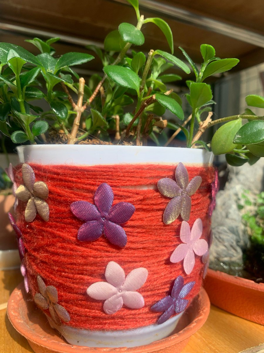 VictoriaRihjbj's tweet photo. Transform an old mason jar into a cute planter in 2 mins with just twine u0026 paint! A quick upcycle project that’s perfect for small succulents. https://t.co/AqDu3c8yl3