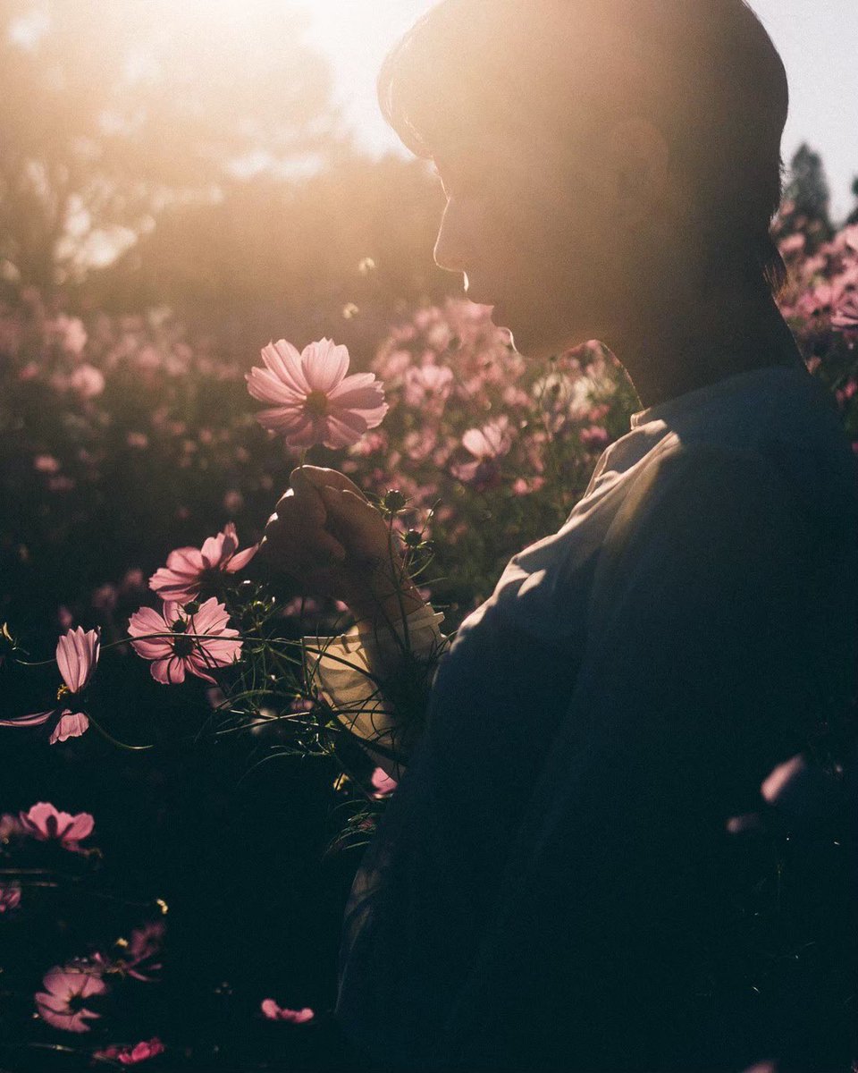 _kanakoara_'s tweet photo. flowers https://t.co/HF0jkIRbE5