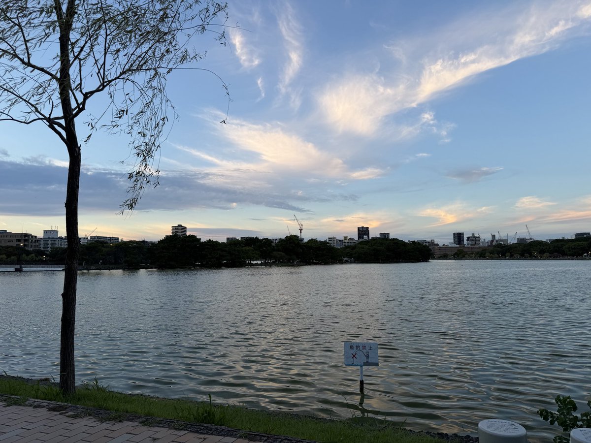 spica6510's tweet photo. 今日もいい天気でした https://t.co/MZjb0BNxrG