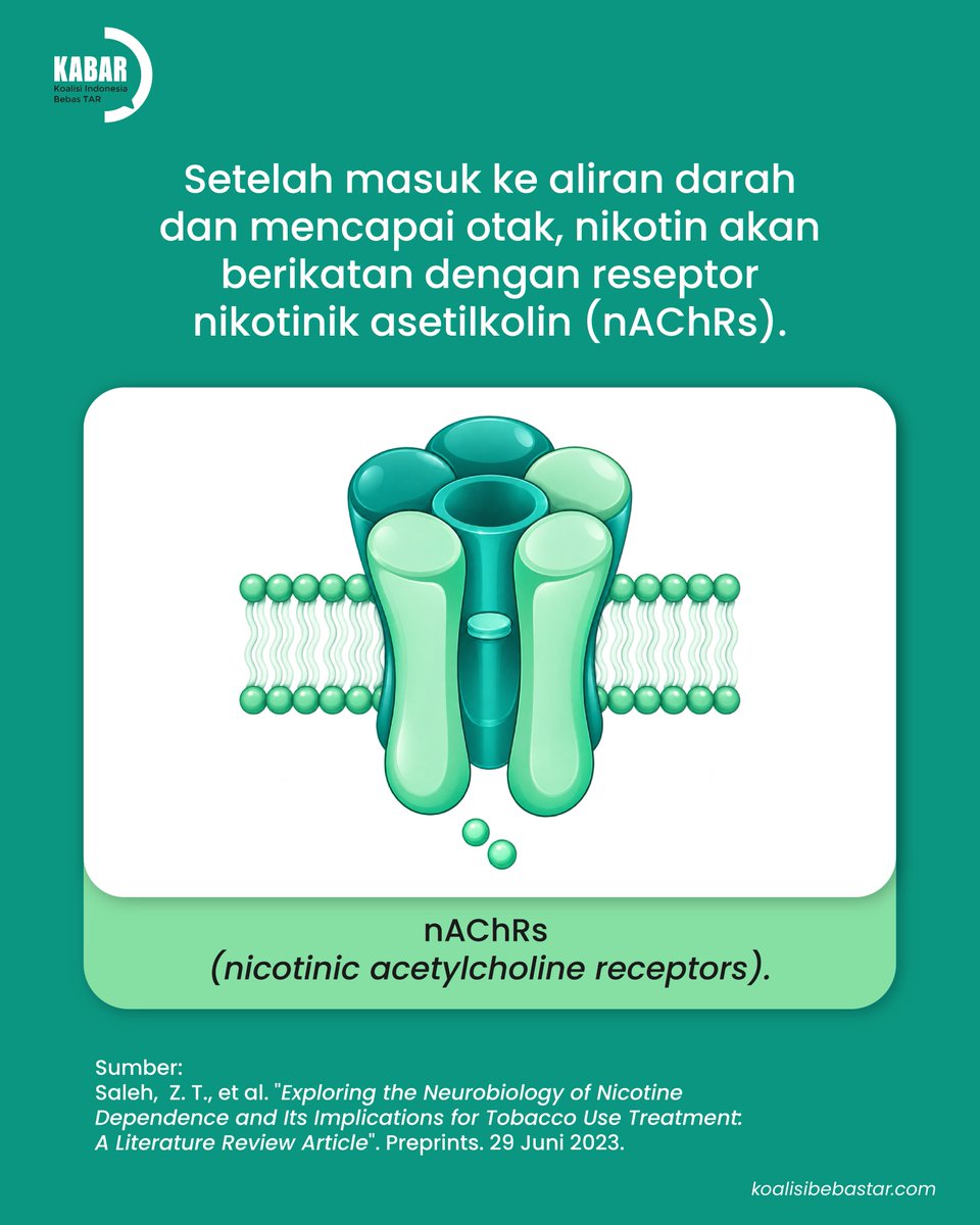 koalisibebastar's tweet photo. Secara ilmiah, nikotin merangsang pelepasan neurotransmitter di otak seperti dopamin yang memicu rasa puas dan serotonin yang menstabilkan suasana hati.