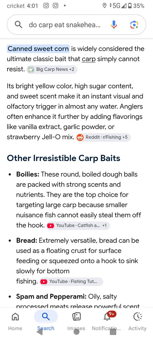 LesReed10's tweet photo. Salmon Eggs 🥚🪝🪱🐟 https://t.co/acUXnjLuQc