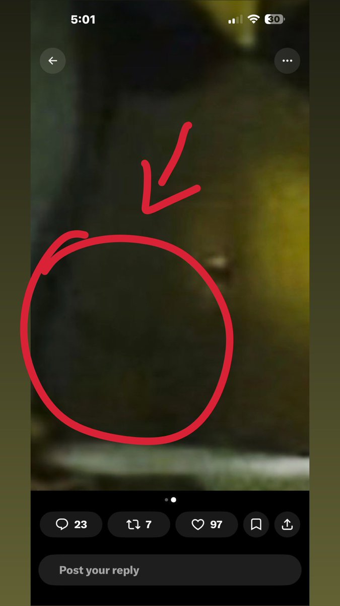ppoisonivyy_'s tweet photo. @DiligentDenizen @RealCandaceO Front camera would be inverted compared to the back camera, and if you look where I circled, you can see a tattoo or what looks to be like the same tattoo she has in the same area it would not be on the same side as front cameras are inverted https://t.co/ZbBt6Z8BHt