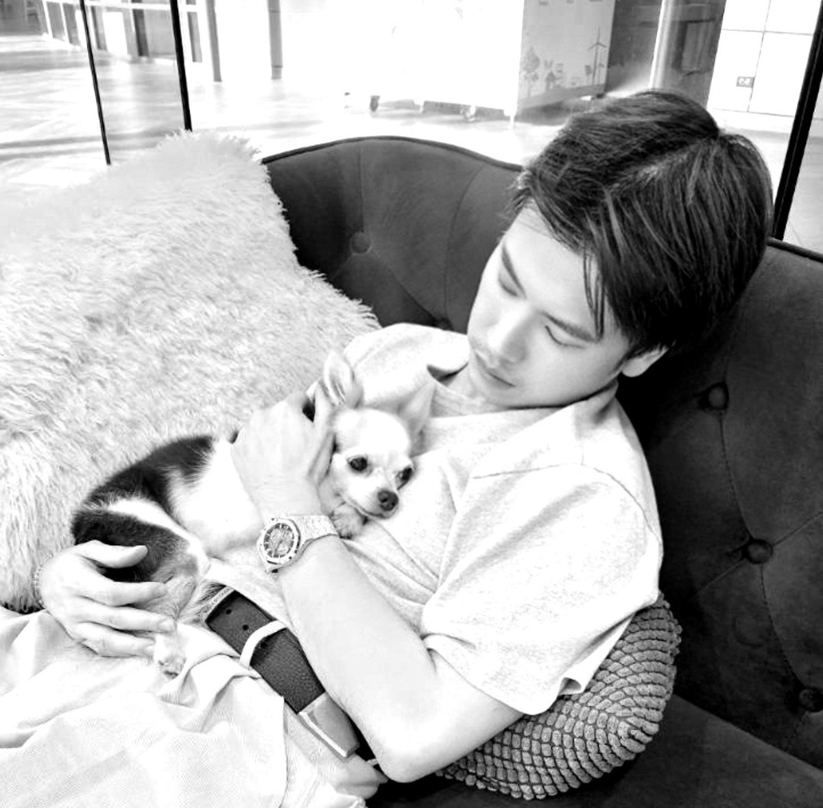 Gonghive24's tweet photo. น้องกิส ไปดาวหมาแล้ว น้องเจอคนมากมาย น้องให้ความสุขกับทุกคน รวมถึงครอบครัวของเรา อายุน้อง17ปี7เดือน น้องเก่งมากๆ สู้กับโรคหมาแก่ โรคหัวใจ มาสองปี แม่ไม่กล้าบอก ว่าน้องจากไปตอนที่เราอยู่ปารีส เพราะกลัวเราเสียใจ สิ่งที่ทำเราเสียใจที่สุดคือไม่มีโอกาสได้ลาน้องได้ส่งเค้าวันสุดท้าย https://t.co/ey7EmuPCeZ