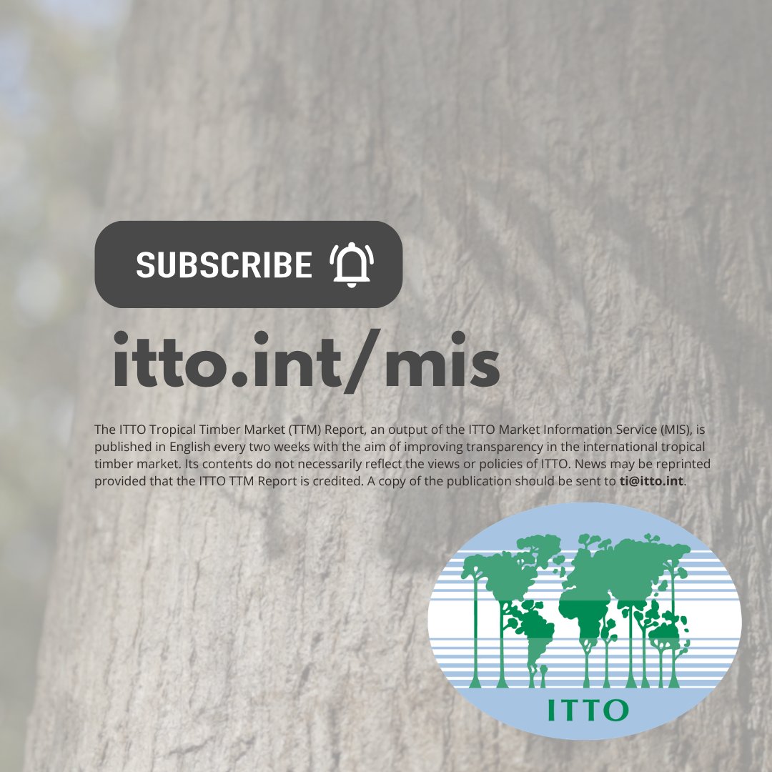 itto_sfm's tweet photo. 📊 New Issue: Tropical Timber Market Report (16–30 September)

🇮🇩 @kemenhut_ri and @FAO have launched a ‘Monitoring and Enhancement of Remote Sensing for National Forest Inventory’ project to modernise Indonesia’s forest monitoring system.

🔗 Read more: https://t.co/dG2mld41N1 https://t.co/f8XdCs3vzu