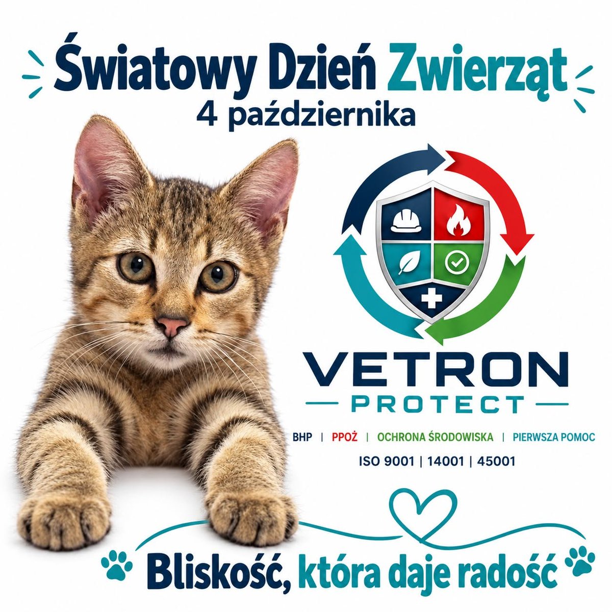 vetronprotect's tweet photo. 🐾 4.10 – Światowy Dzień Zwierząt!

Poznajcie naszego kociego inspektora BHP. 🐈😎

Pilnuje dokumentów, kontroluje przerwy i skutecznie redukuje stres. 😉

Bo bezpieczeństwo to nie tylko BHP, PPOŻ i ISO — czasem to też mruczenie. ❤️

#BHP #PPOŻ #ISO #VetronProtect https://t.co/mNkUkaTVqH