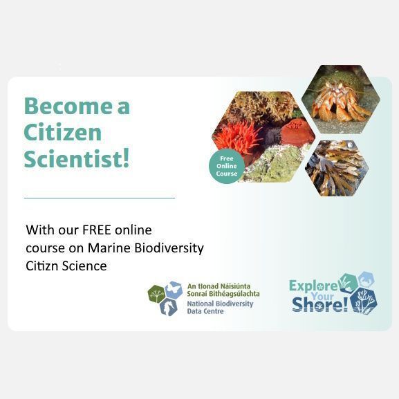 BioDataCentre's tweet photo. How do tides drive the pace of life on the seashore ? ... discover the answer to this and more by completing our FREE online course in Marine Biodiversity Citizen Science. See: https://t.co/xkLF0llrOy https://t.co/fuaVn3HcWF