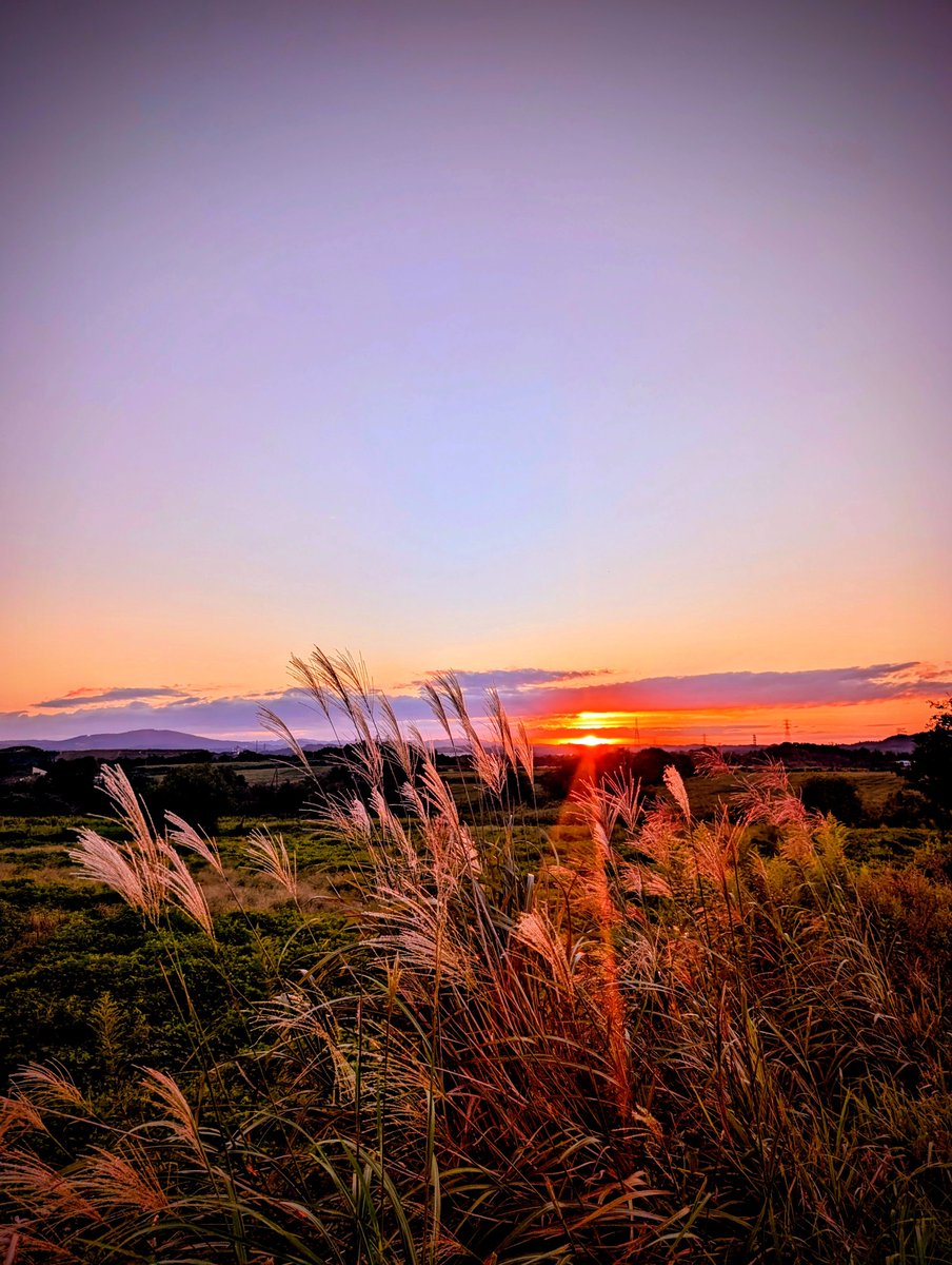 noricX01's tweet photo. 夕焼け https://t.co/PP9uqHqOwv