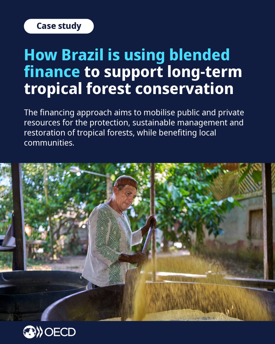 OECDdev's tweet photo. The new @OECD report highlights the Brazil-led Tropical Forest Forever Facility (TFFF) as an example of how blended finance can mobilise resources for the protection, sustainable management and restoration of tropical forests.

🔗 Download the report: https://t.co/RrEYQvVpRF https://t.co/CJOIExZkoH