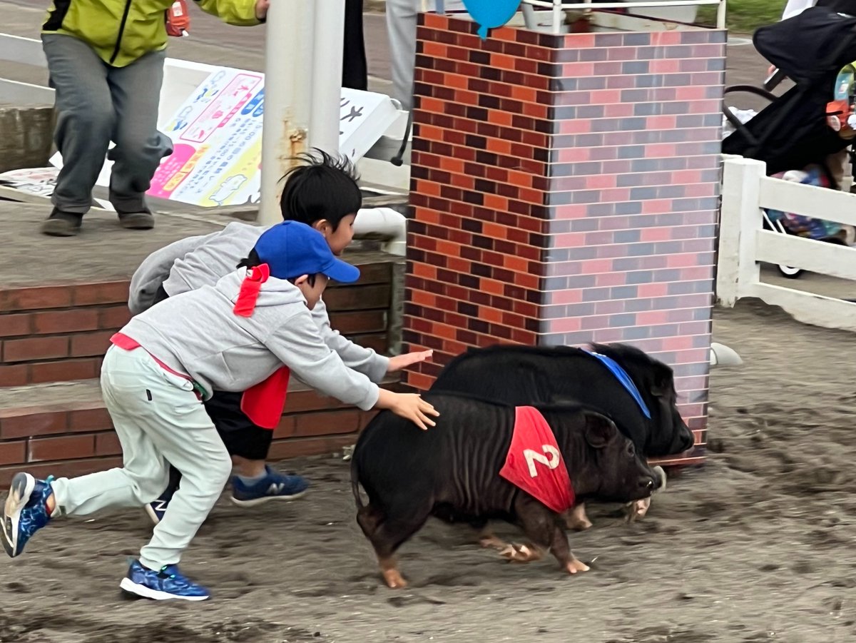 royaldragon1969's tweet photo. 今日は見事に天気もよく、初めてのマザー牧場を堪能して、楽しい一日でした😆 https://t.co/Bpf0HgXwgF