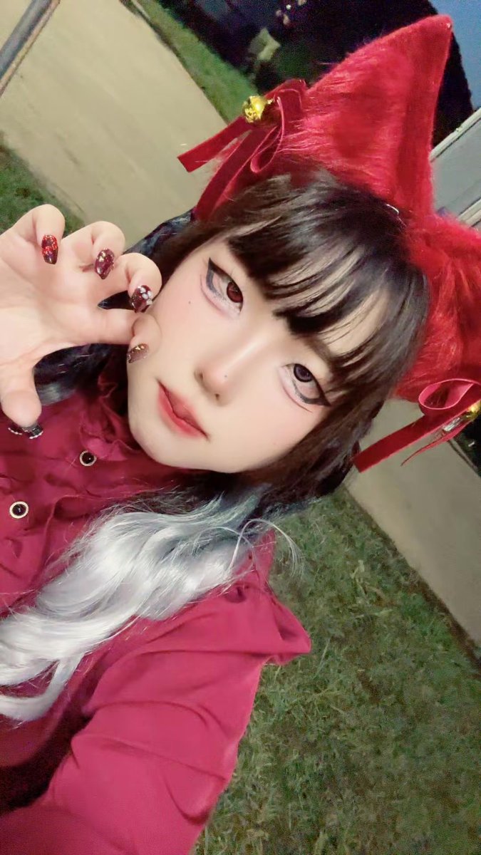 Devita_deviln's tweet photo. でびにゃんをおすそ分け https://t.co/C5Rk7DRevH
